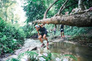 BIB: 
                            <button type="button" onclick="openModal(25434753)" class="btn btn-primary btn-sm float-right btn-popup" data-toggle="modal" data-target=".modal-high-quality">
                        <i class="fas fa-shopping-cart"></i> Add to Cart
                    </button>
                                            <button type="button" onclick="isThisMe(25434753, true)" class="btn btn-success btn-sm float-right btn-popup btn-isme hidden" data-toggle="tooltip" data-placement="bottom" title="นี่คือรูปของคุณใช่ไหม คลิกที่นี่เพื่อเอาเข้าอัลบั้ม">
                        <i class="fas fa-plus"></i> Add to album
                    </button>
                    <button type="button" onclick="isThisMe(25434753, false)" class="btn btn-warning btn-sm float-right btn-popup btn-isnotme hidden">
                        <i class="fas fa-ban"></i> Remove from album
                    </button>